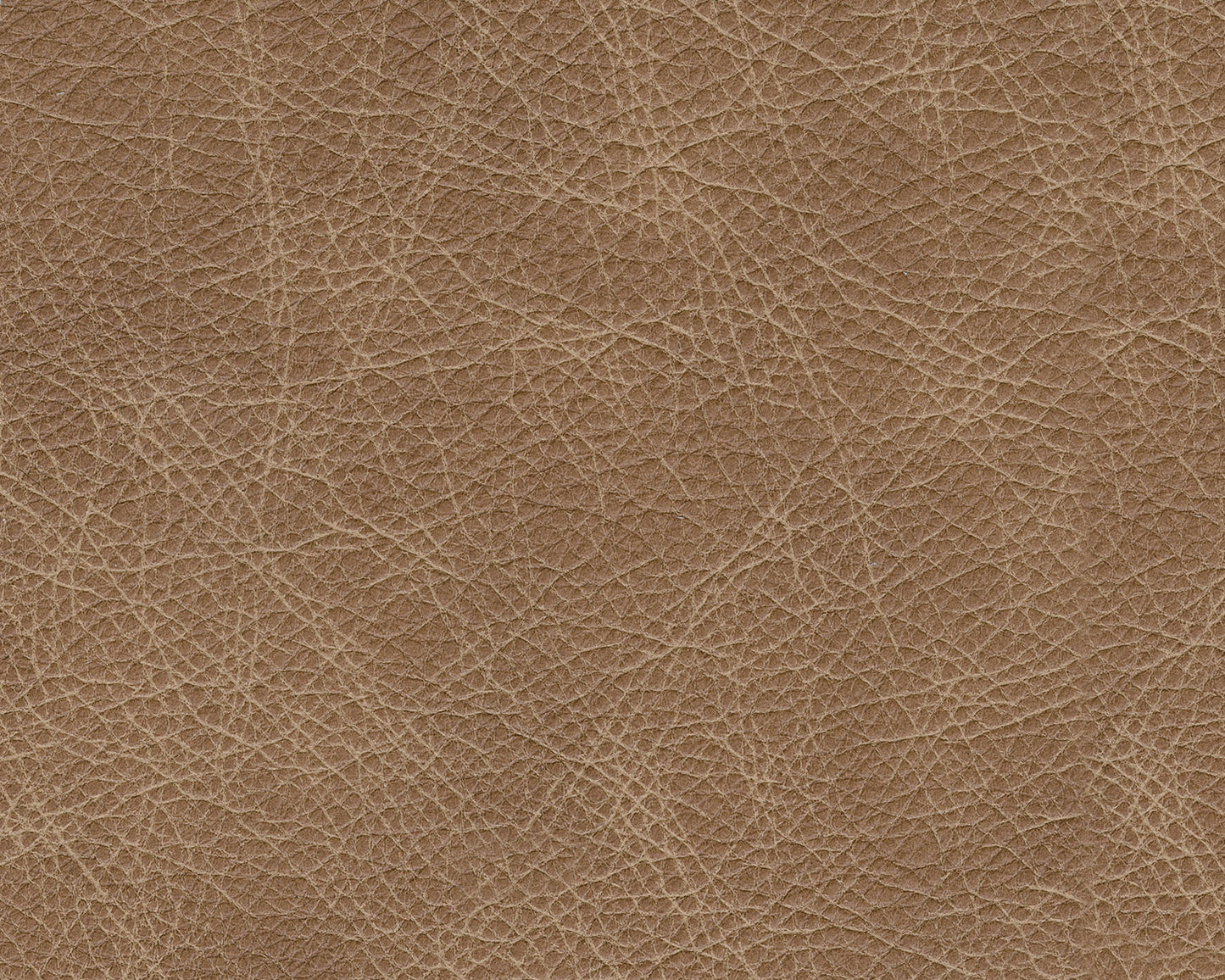 Ashley Homestore | Lombardia Sofa Set