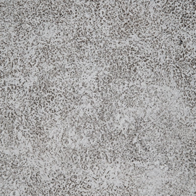 Dorcey Planter (Set of 2)