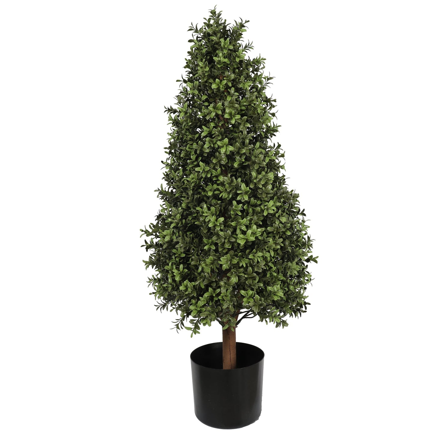 Buxus Tower Tree 90CM