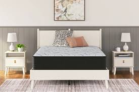Ashley Homestore | Elite Springs Plush King Mattress