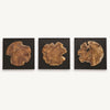 Kolini Wood Wall Decor, S/3