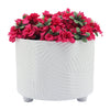 S/2 SWIRL FOOTED PLANTERS 10/12