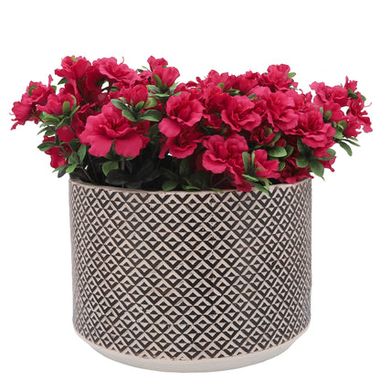 16628-01  WOOD, 3-SEATER BOLSTERED SOFA, TAN( Sagebrook Home  )