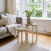 مزهريات زجاجية EV19113 (Sagebrook Home)