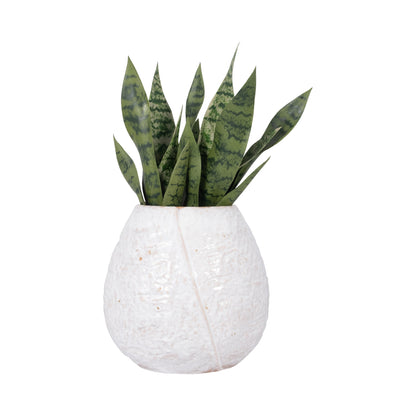 18678-02  CER, 11"H BOUQUET VASE, WHITE( Sagebrook Home  )