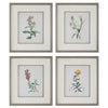 Uttermost Heirloom Blooms Study Framed Prints Set/4