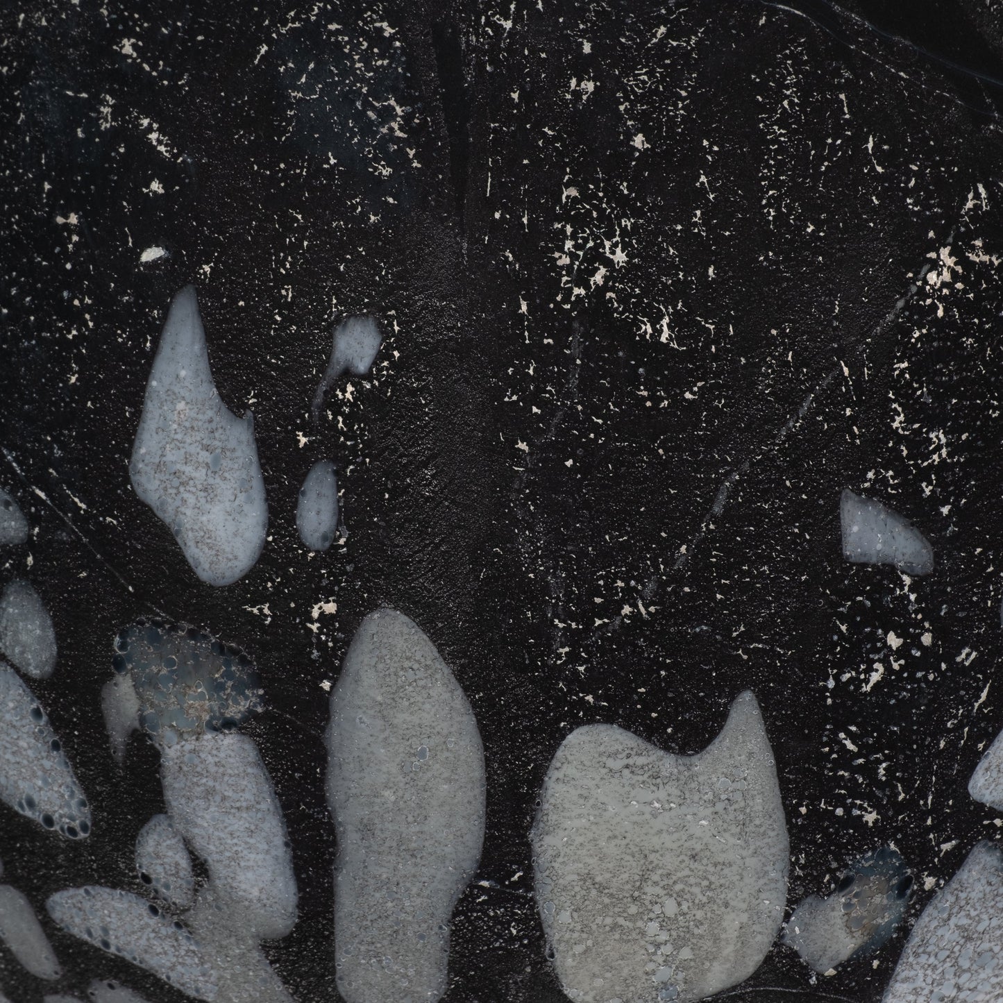 EV19629-02| Glass Vases