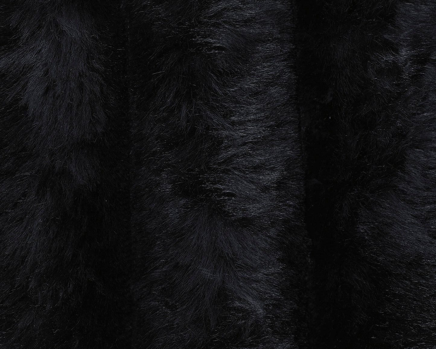 Technique Motion Set