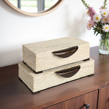 S/2 14/16" Hadwin Resin Cream Boxes