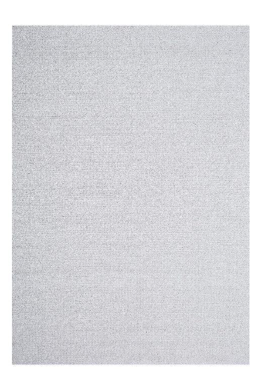 Rug 200*290 cm