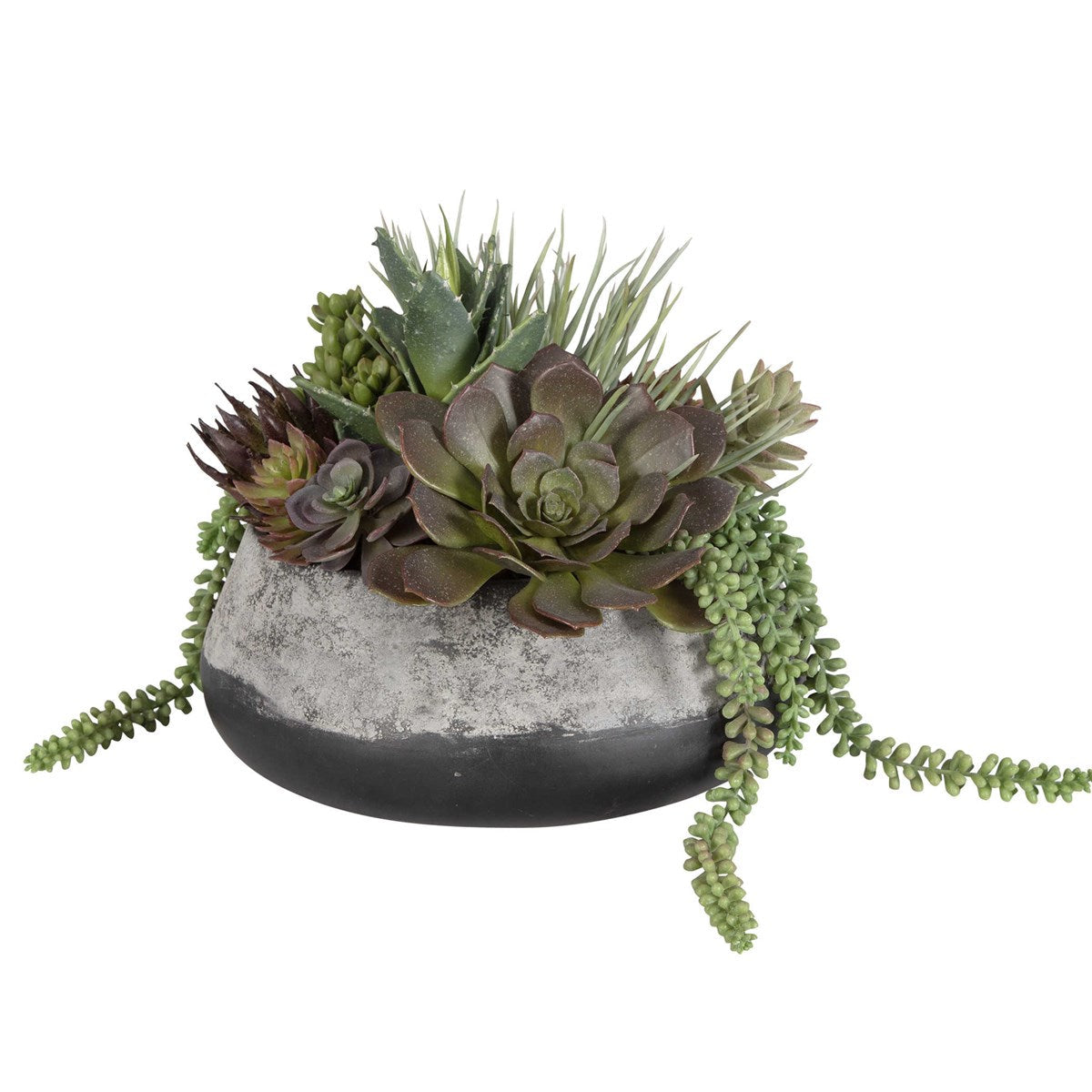 60214-UTT| Yuma Succulent Centerpiece