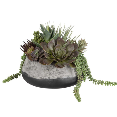 60214-UTT| Yuma Succulent Centerpiece