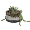 60214-UTT| Yuma Succulent Centerpiece