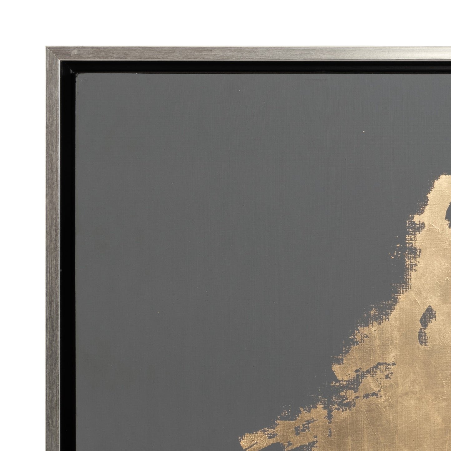 S/2 63x47 Hand Painted Birds On Wire, Gold