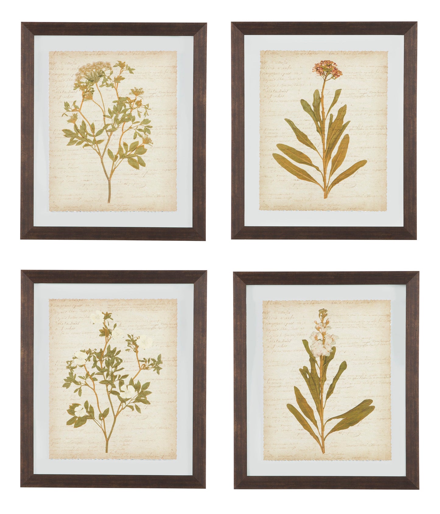WALL ART SET (Set of 4)