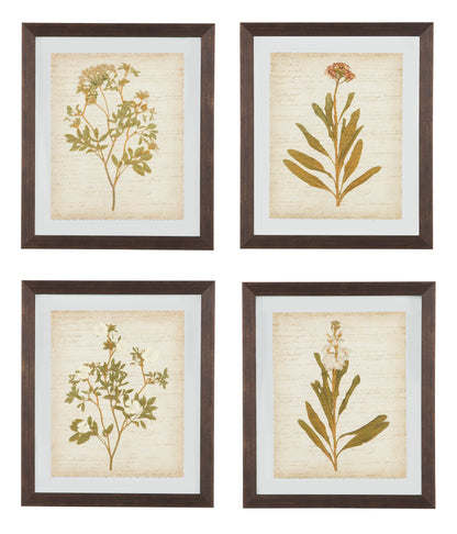 WALL ART SET (Set of 4)