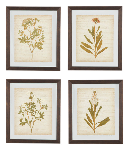 WALL ART SET (Set of 4)