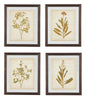 WALL ART SET (Set of 4)