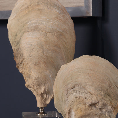 Oyster Shell Sculptures, S/2