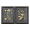 Midnight Botanicals Framed Prints, S/2
