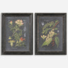 Midnight Botanicals Framed Prints, S/2