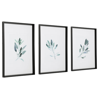 Simple Sage Framed Prints, S/3