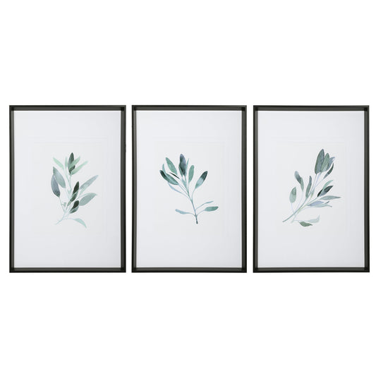 Simple Sage Framed Prints, S/3
