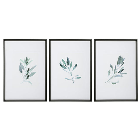 Simple Sage Framed Prints, S/3