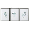 Simple Sage Framed Prints, S/3