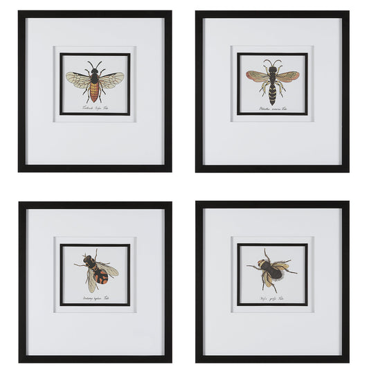 Anthophila Framed Prints, S/4
