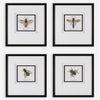 Anthophila Framed Prints, S/4