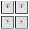 Anthophila Framed Prints, S/4