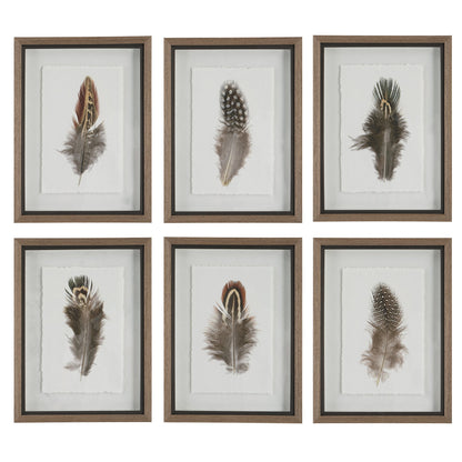 Birds of a Feather Framed Prints, S/6