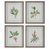 Wildflower Study Framed Prints, S/4