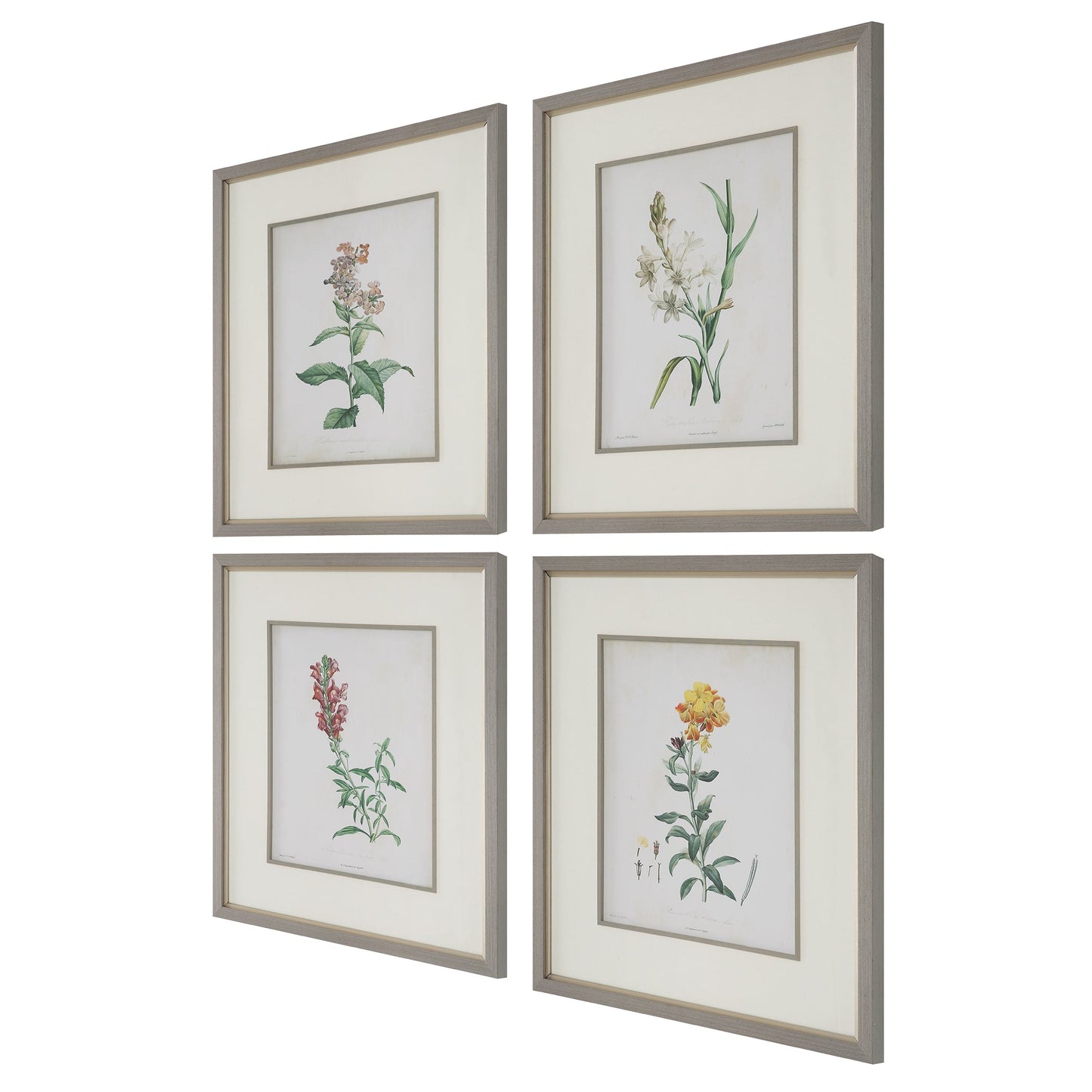 Uttermost Heirloom Blooms Study Framed Prints Set/4