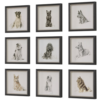 Loyal Companion Framed Dog Prints, S/9