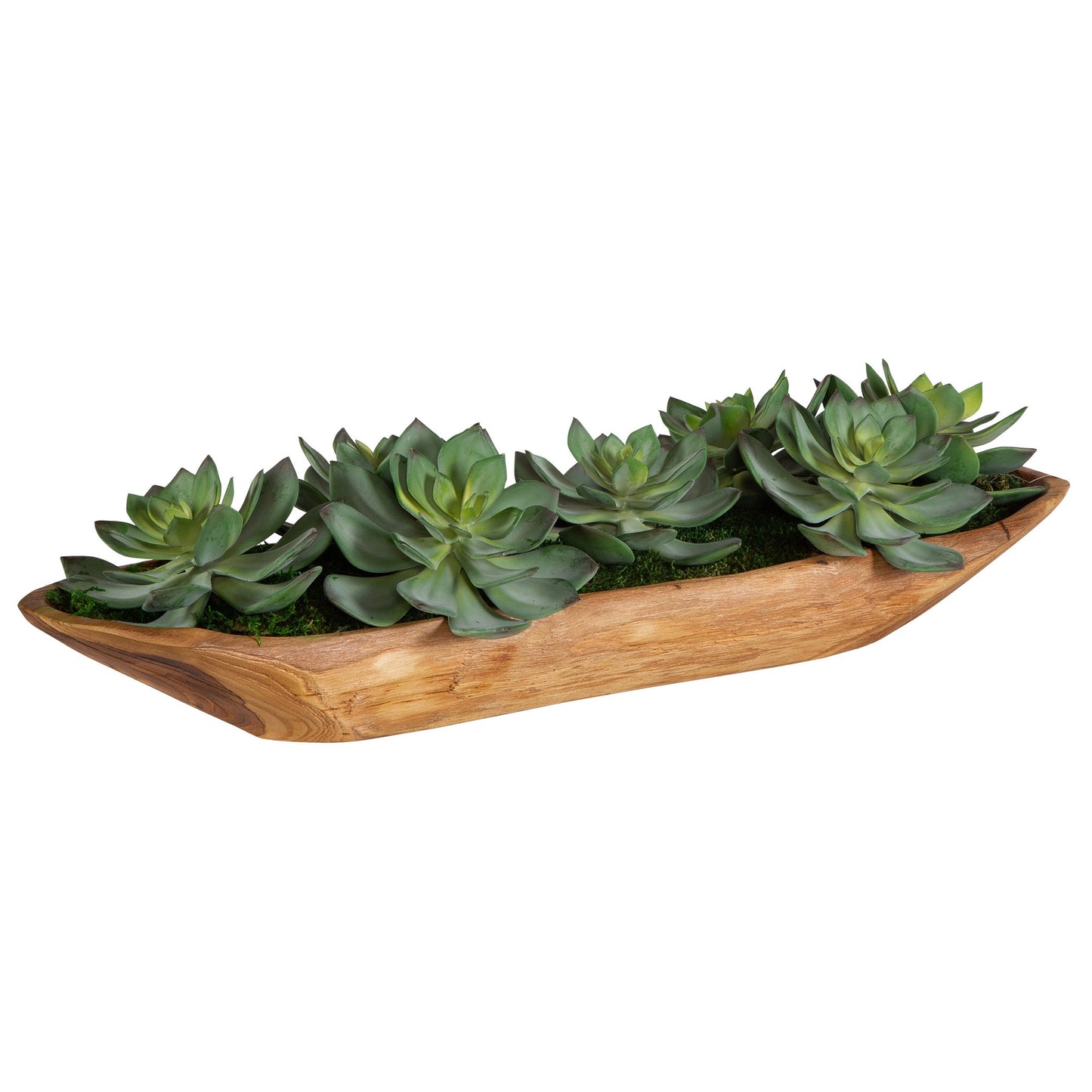 60205-UTT| Yuma Succulent Centerpiece
