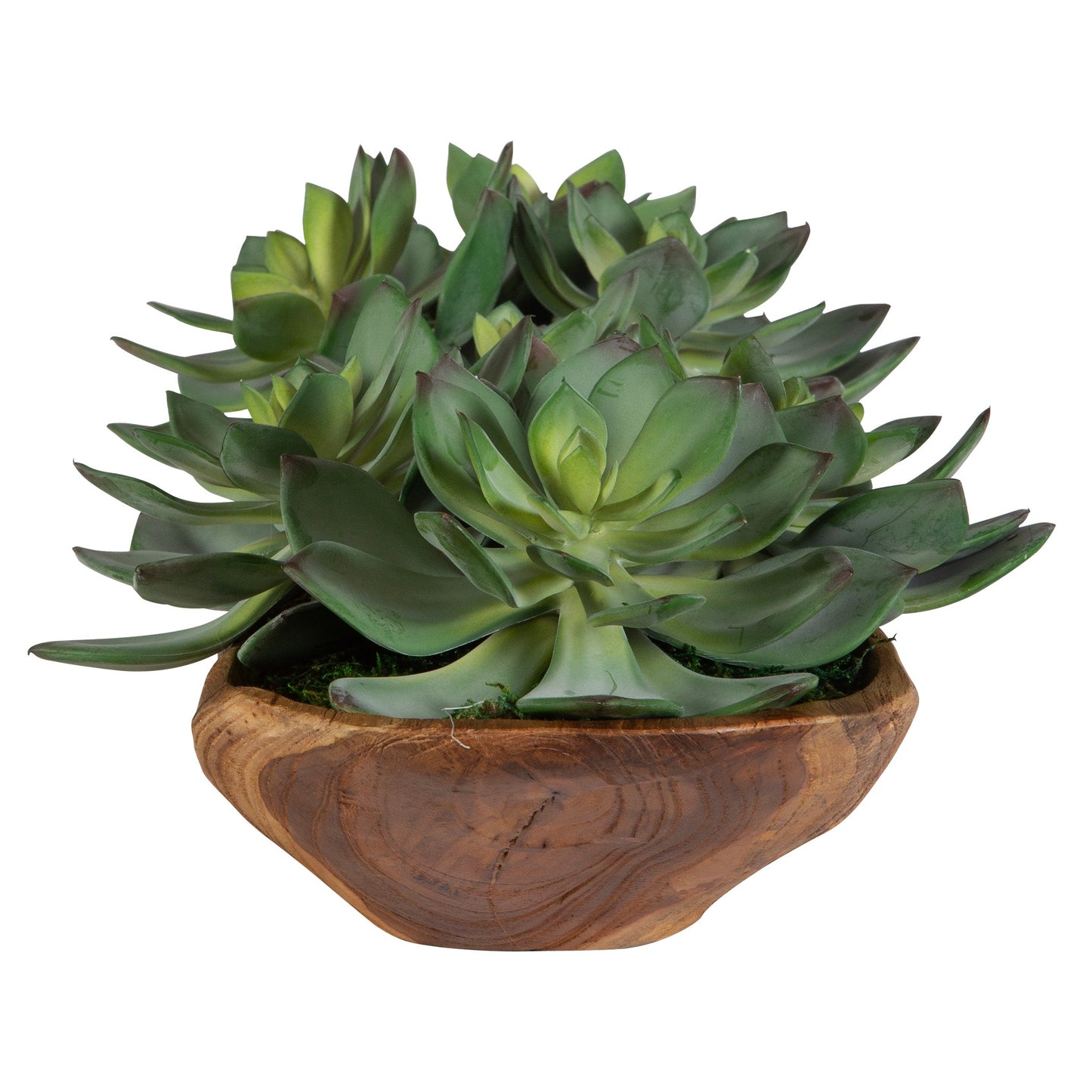 60205-UTT| Yuma Succulent Centerpiece