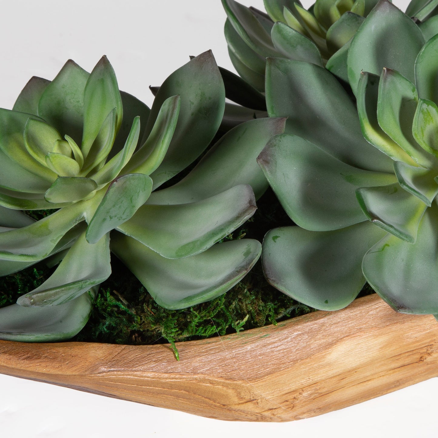 60205-UTT| Yuma Succulent Centerpiece