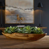 60205-UTT| Yuma Succulent Centerpiece