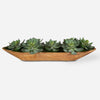 60205-UTT| Yuma Succulent Centerpiece