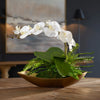 Transcend Orchid Centerpiece