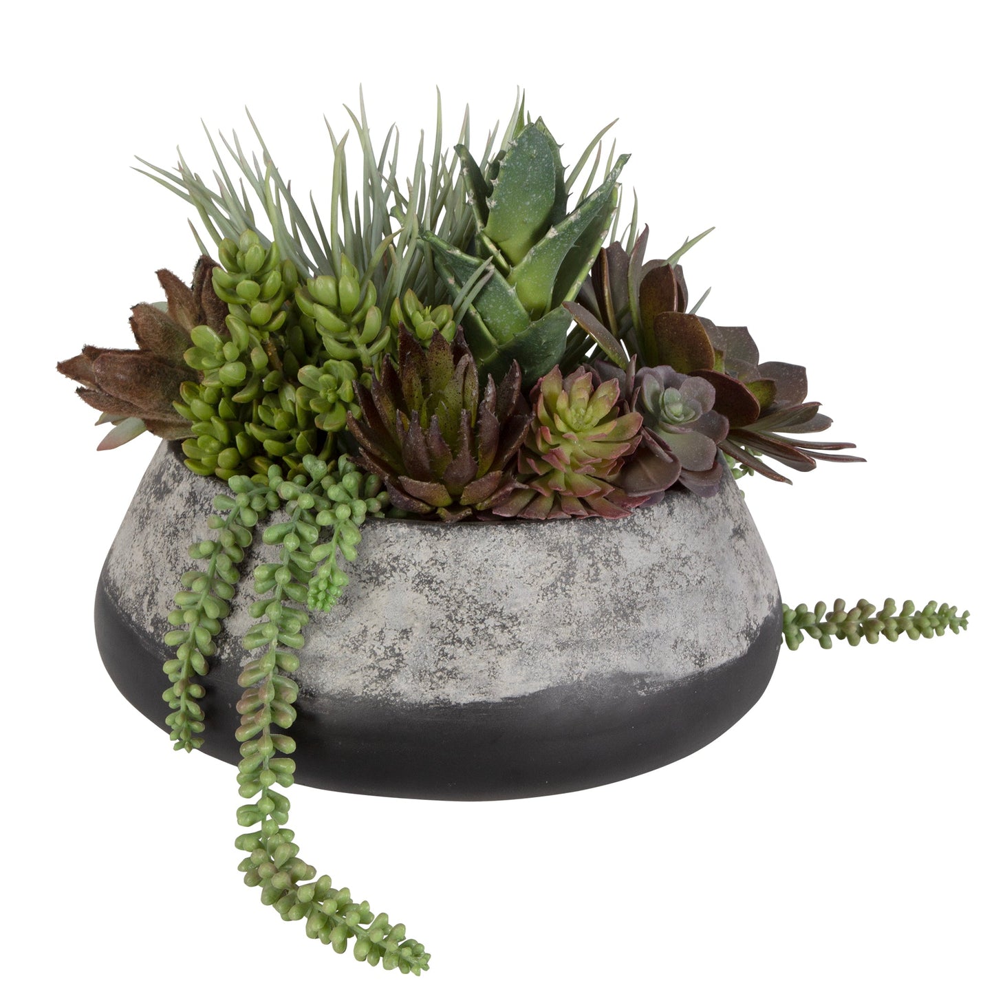 60214-UTT| Yuma Succulent Centerpiece
