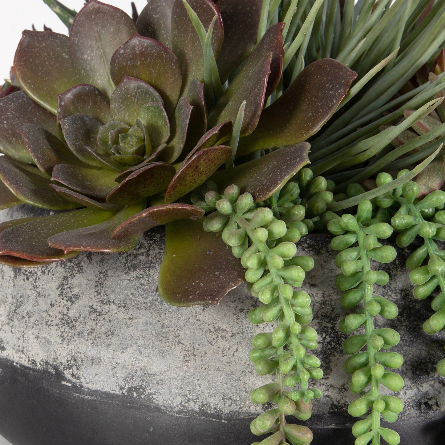 60214-UTT| Yuma Succulent Centerpiece