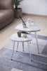 CVFZR5163  Moon Circle Side Table Set of 3( Crestview  )