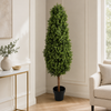 150CM Height Buxus Oval Tree Outdoor UV Protected
