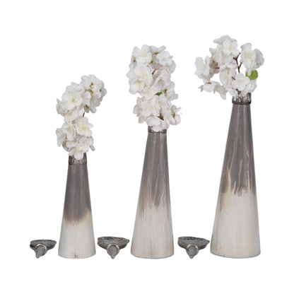 EV19472| Glass Vases