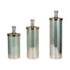 EV19485| Glass Vases