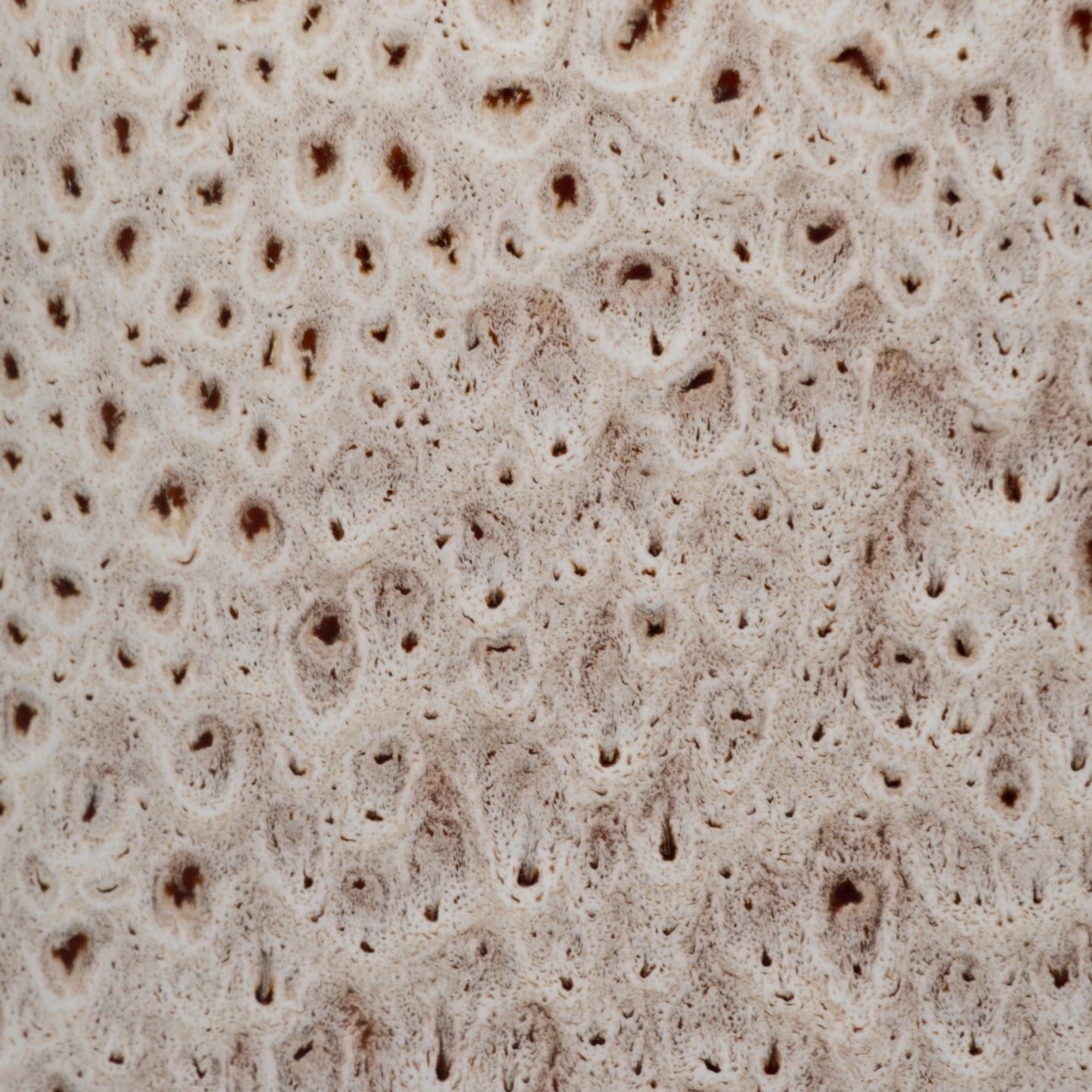 EV19874-01  TRUMAN LARGE CERAMIC VASE( Sagebrook Home  )