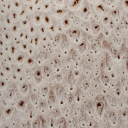 EV19874-01  TRUMAN LARGE CERAMIC VASE( Sagebrook Home  )